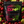 Cherry Lime Daily Hydration
